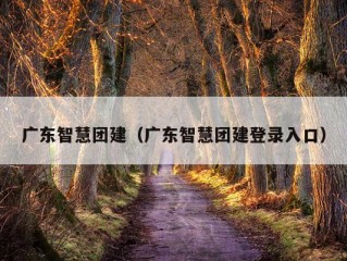 广东智慧团建（广东智慧团建登录入口）