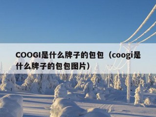 COOGI是什么牌子的包包（coogi是什么牌子的包包图片）