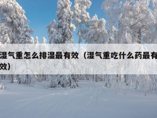 湿气重怎么排湿最有效（湿气重吃什么药最有效）