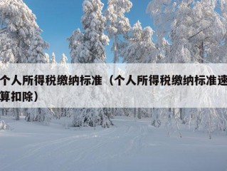 个人所得税缴纳标准（个人所得税缴纳标准速算扣除）