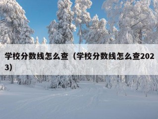 学校分数线怎么查（学校分数线怎么查2023）