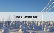 陈星旭（陈星旭西装）