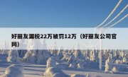 好丽友漏税22万被罚12万（好丽友公司官网）