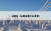 ip地址（ip地址是什么意思）