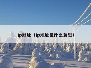 ip地址（ip地址是什么意思）