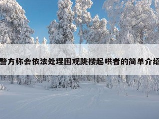 警方称会依法处理围观跳楼起哄者的简单介绍