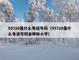 95720是什么电话号码（95720是什么电话号码金柳林小学）