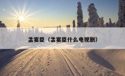 孟宴臣（孟宴臣什么电视剧）