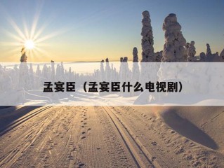 孟宴臣（孟宴臣什么电视剧）