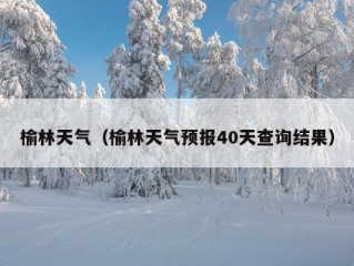 榆林天气（榆林天气预报40天查询结果）