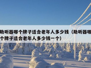 助听器哪个牌子适合老年人多少钱（助听器哪个牌子适合老年人多少钱一个）