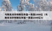 马斯克访华特斯拉市值一夜涨1800亿（马斯克访华特斯拉市值一夜涨1800亿3）