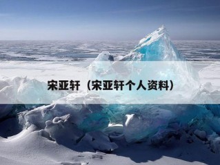 宋亚轩（宋亚轩个人资料）