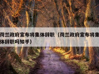 荷兰政府宣布将集体辞职（荷兰政府宣布将集体辞职吗知乎）