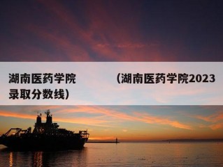 湖南医药学院　　　（湖南医药学院2023录取分数线）