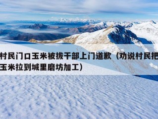 村民门口玉米被拔干部上门道歉（劝说村民把玉米拉到城里磨坊加工）