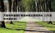 万亩树木被煤矿断水林场主跪地求水（2万亩树木被砍伐）