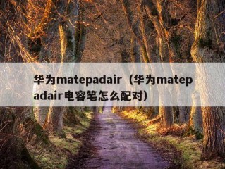 华为matepadair（华为matepadair电容笔怎么配对）