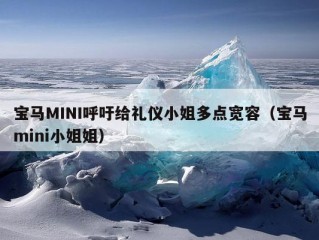 宝马MINI呼吁给礼仪小姐多点宽容（宝马mini小姐姐）