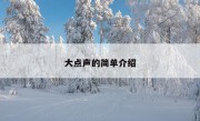 大点声的简单介绍