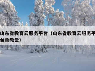 山东省教育云服务平台（山东省教育云服务平台鲁教云）