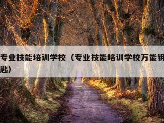 专业技能培训学校（专业技能培训学校万能钥匙）