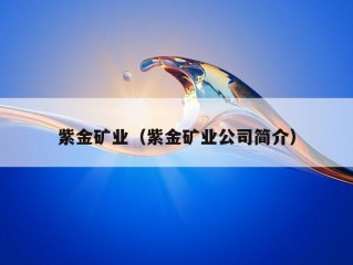 紫金矿业（紫金矿业公司简介）