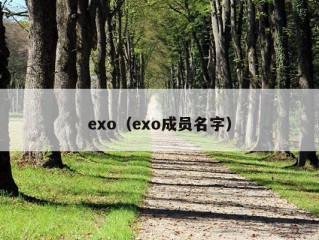 exo（exo成员名字）