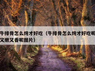 牛排骨怎么炖才好吃（牛排骨怎么炖才好吃呢又嫩又香呢图片）