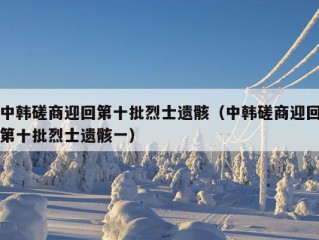 中韩磋商迎回第十批烈士遗骸（中韩磋商迎回第十批烈士遗骸一）