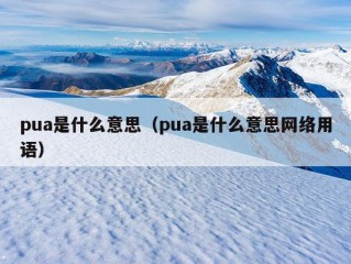 pua是什么意思（pua是什么意思网络用语）