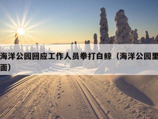 海洋公园回应工作人员拳打白鲸（海洋公园里面）