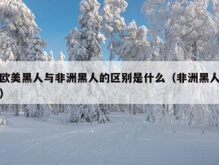 欧美黑人与非洲黑人的区别是什么（非洲黑人）