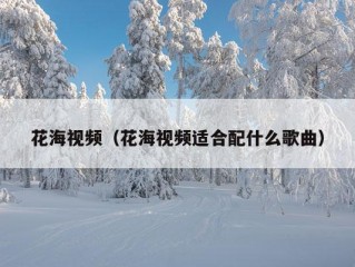 花海视频（花海视频适合配什么歌曲）