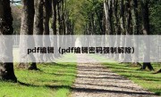 pdf编辑（pdf编辑密码强制解除）