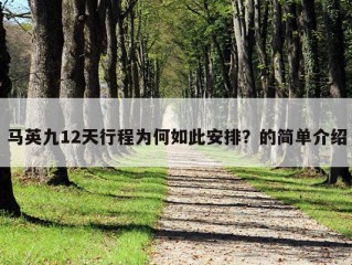 马英九12天行程为何如此安排？的简单介绍