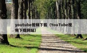 youtube视频下载（YouTube视频下载网站）