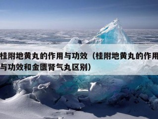 桂附地黄丸的作用与功效（桂附地黄丸的作用与功效和金匮肾气丸区别）