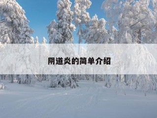 阴道炎的简单介绍