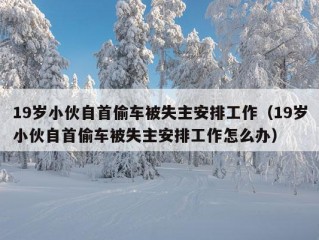 19岁小伙自首偷车被失主安排工作（19岁小伙自首偷车被失主安排工作怎么办）