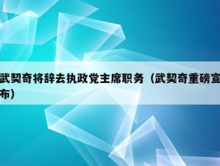 武契奇将辞去执政党主席职务（武契奇重磅宣布）