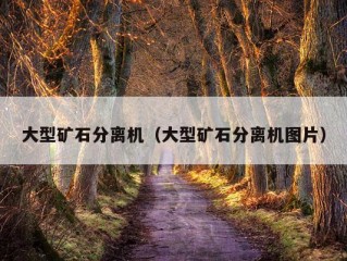 大型矿石分离机（大型矿石分离机图片）