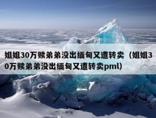 姐姐30万赎弟弟没出缅甸又遭转卖（姐姐30万赎弟弟没出缅甸又遭转卖pml）