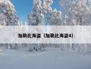 加勒比海盗（加勒比海盗4）