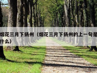 烟花三月下扬州（烟花三月下扬州的上一句是什么）