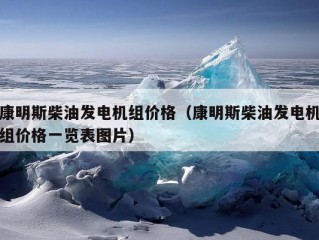 康明斯柴油发电机组价格（康明斯柴油发电机组价格一览表图片）