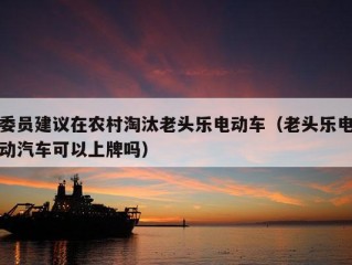 委员建议在农村淘汰老头乐电动车（老头乐电动汽车可以上牌吗）