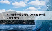 2023适合一辈子网名（2023适合一辈子网名简单）