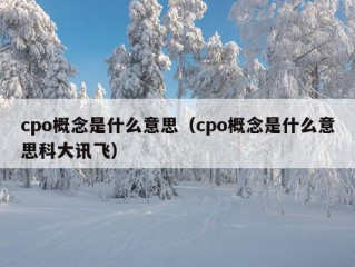 cpo概念是什么意思（cpo概念是什么意思科大讯飞）