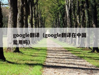 google翻译（google翻译在中国能用吗）